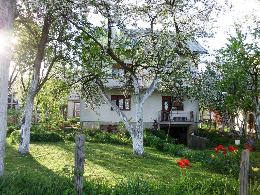 Guest House Krga Korenica Extérieur photo
